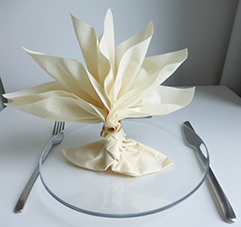 Pliage De Serviettes De Table En Papier Pliage De Papier Origami Deocration De Table Plier Du Papier Decor De Table Origami Serviettes En Papier